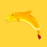 banan-dolphin