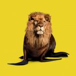 sealion