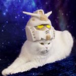 貓毛二