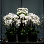 靜河流深 展場作品_180726_0009