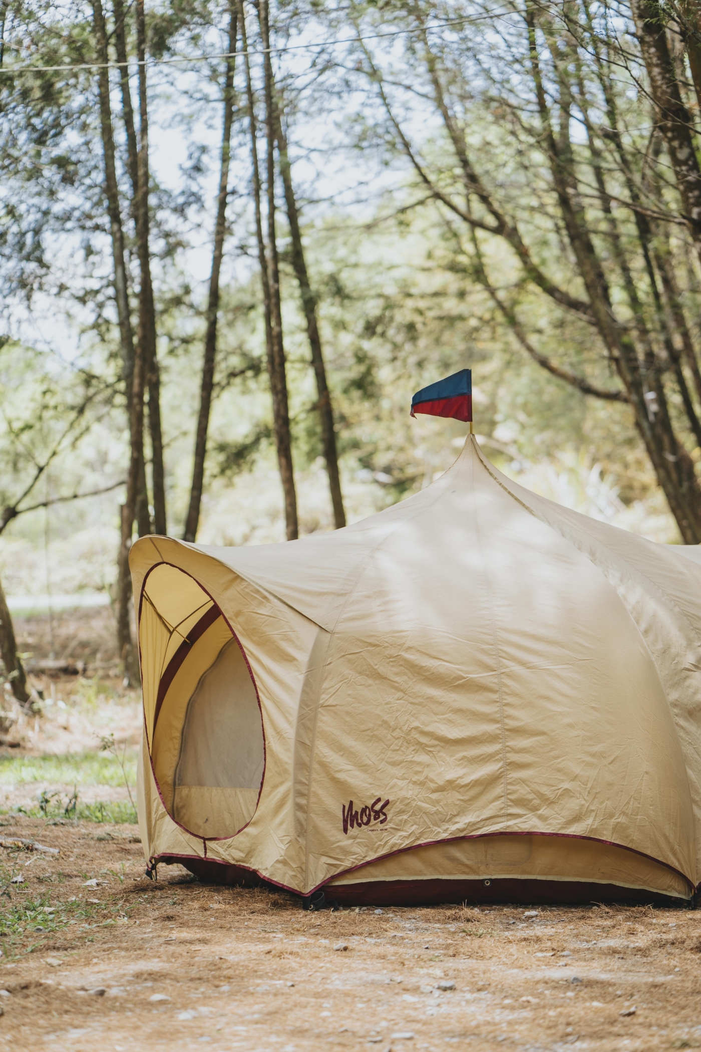 img-1629115297-98175-16