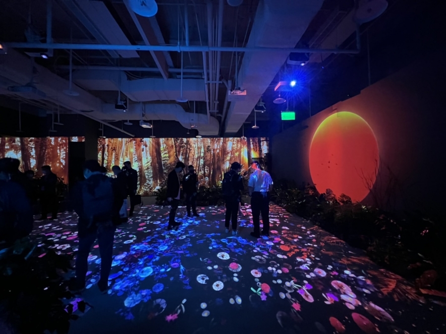 台北沉浸式展演「離線時區」!3 尺高神木光雕、虛實植栽花草,紅然 RYB studio 打造療癒聲光互動 離線時區活動現場照片10.JPG