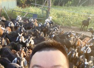 返鄉青年-陳弘銘與新金青年-洪銘志聯手共同創業 風車畜牧場 開展金門新畜牧業之章